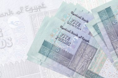 5 Mısır sterlinli banknotlar büyük yarı şeffaf banknotların arka planında duruyor. Ulusal para biriminin soyut sunumu. İş konsepti