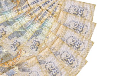 25 Mısır kuruşu banknotları beyaz arka planda izole bir şekilde duruyor. Fan şeklinde fotokopi alanı da yakın planda. Finansal işlemler kavramı