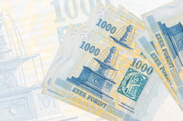 1000 Macar forint banknotu, büyük yarı şeffaf banknotun arka planında duruyor. Ulusal para biriminin soyut sunumu. İş konsepti