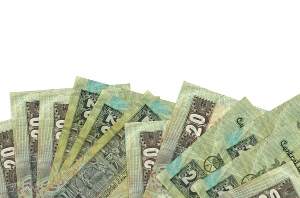Ekranın alt tarafında 20 Mısırlı banknot var. Beyaz arka planda izole edilmiş ve fotokopi alanı var. Paralı iş kavramları için arkaplan afişi şablonu