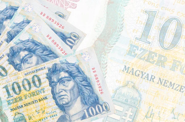 1000 Macar forint banknotu, büyük yarı şeffaf banknotun arka planında duruyor. Kopyalama alanı olan soyut iş arkaplanı