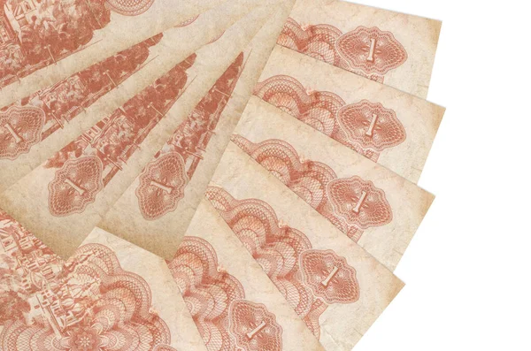 1 Ukrayna kuponu faturası beyaz arka planda izole edilmiş ve hayran şeklinde çoğaltılmış. Finansal işlemler kavramı