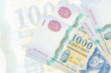 1000 Macar forint banknotu, büyük yarı şeffaf banknotun arka planında duruyor. Ulusal para biriminin soyut sunumu. İş konsepti
