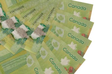 20 Kanada Doları beyaz arka planda izole bir şekilde duruyor. Fan şeklinde fotokopi alanı da yakın planda. Finansal işlemler kavramı