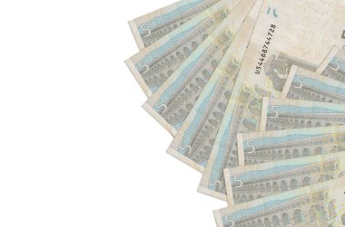 5 avroluk banknotlar beyaz arka planda, kopyalama alanı ile izole edilmiş. Zengin yaşam kavramsal geçmişi. Büyük miktarda ulusal para birimi zenginliği