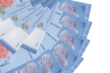1 Malezya ringgit banknotları beyaz arkaplanda izole edilmiş ve hayran şeklinde dizilmiş. Finansal işlemler kavramı