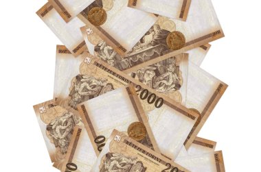 2000 Macar forint banknotları beyazın üzerinde izole bir şekilde uçuyor. Birçok banknot sol ve sağ tarafta beyaz kopya alanı ile düşüyor