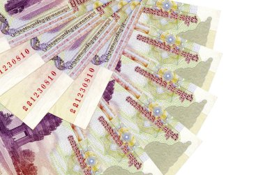 100 Kamboçya ayaklanması faturası beyaz arka planda izole edilmiş ve fotokopi alanı fan şeklinde dizilmiş. Finansal işlemler kavramı