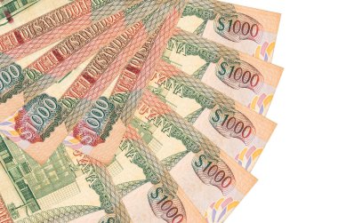 1000 dolarlık Guyanese banknotları beyaz arka planda izole edilmiş, fotokopi alanı da yakın planda tutuluyor. Finansal işlemler kavramı