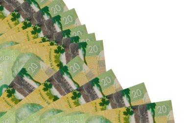 20 Kanadalı banknot beyaz arka planda izole bir şekilde duruyor ve fotokopi alanı da pervaneye yakın duruyor. Maaş zamanı kavramı veya finansal işlemler