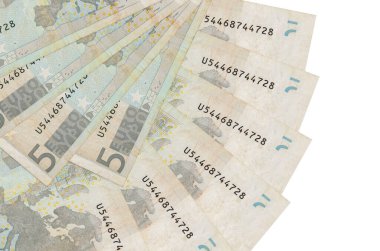 5 avroluk banknotlar beyaz arka planda izole edilmiş, fotokopi alanı da yakın planda. Finansal işlemler kavramı