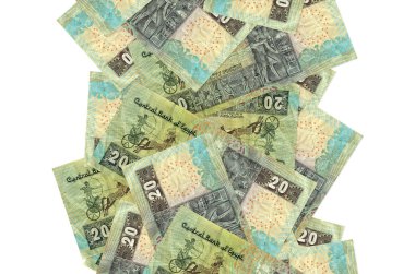 Beyazlar üzerinde izole edilmiş 20 Mısır sterlinli banknotlar. Birçok banknot sol ve sağ tarafta beyaz kopya alanı ile düşüyor