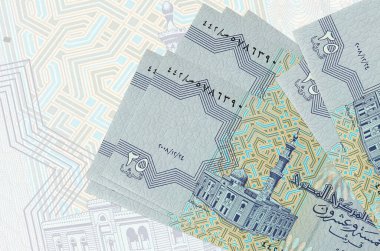 25 Mısır kuruşu banknotları büyük yarı şeffaf banknotların arka planında duruyor. Ulusal para biriminin soyut sunumu. İş konsepti