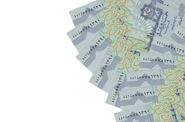 25 Mısır kuruşu banknotları beyaz arka planda fotokopi alanı ile izole bir şekilde duruyor. Zengin yaşam kavramsal geçmişi. Büyük miktarda ulusal para birimi zenginliği