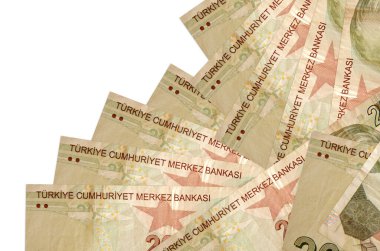 20 Türk lirası, beyaza izole edilmiş farklı bir sırayla yatar. Yerel bankacılık ya da para kazanma konsepti. İş arkaplanı afişi