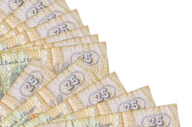 25 Mısır kuruşu banknotları beyaz arka planda izole bir şekilde duruyor. Fan kaplamasında da fotokopi alanı var. Maaş zamanı kavramı veya finansal işlemler