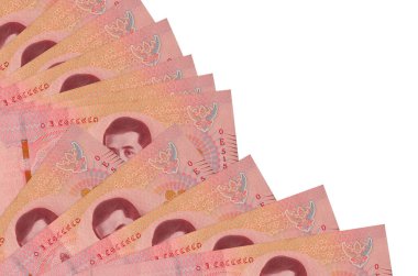 100 Tayland Baht banknotu beyaz arka planda izole edilmiş bir şekilde duruyor ve fotokopi alanı da pervaneye yakın duruyor. Maaş zamanı kavramı veya finansal işlemler