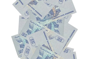 25 Mısır kuruşu banknotları beyazın üzerinde izole bir şekilde uçuyor. Birçok banknot sol ve sağ tarafta beyaz kopya alanı ile düşüyor