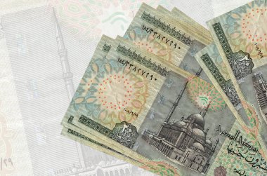 Büyük yarı saydam banknotların arka planında 20 Mısır sterlini var. Ulusal para biriminin soyut sunumu. İş konsepti