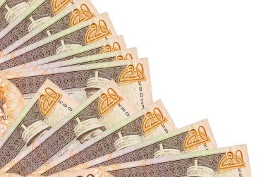 20 Dominik pezosu beyaz arka planda izole bir şekilde duruyor. Fan kaplamasında da fotokopi alanı var. Maaş zamanı kavramı veya finansal işlemler