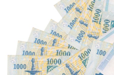Beyaz üzerine izole edilmiş 1000 Macar forint banknotu farklı bir sırayla yatar. Yerel bankacılık ya da para kazanma konsepti. İş arkaplanı afişi