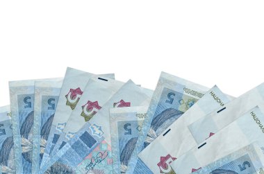 Ekranın alt tarafında 5 Ukrayna hrivniası banknotu var. Beyaz arka planda, kopyalama alanı ile izole edilmiş. Paralı iş kavramları için arkaplan afişi şablonu