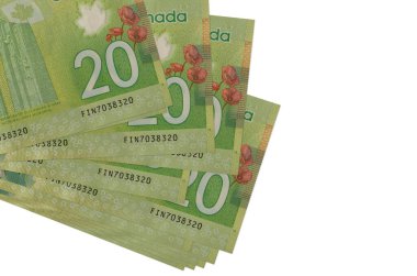 20 Kanada Doları küçük gruplar halinde ya da beyaz paketler halinde duruyor. Kopyalama alanı olan bir model. İş ve para değişimi kavramı