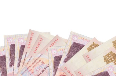 Ekranın alt tarafında 500 Macar forint banknotu var. Beyaz arka planda izole edilmiş ve kopya alanı var. Paralı iş kavramları için arkaplan afişi şablonu