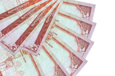 20 Nepal Rupisi banknotları beyaz arka planda izole edilmiş, fotokopi alanı da yakın planda. Finansal işlemler kavramı