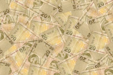 Yığınla Türk lirası var. Zengin yaşam kavramsal geçmişi. Büyük miktarda para.