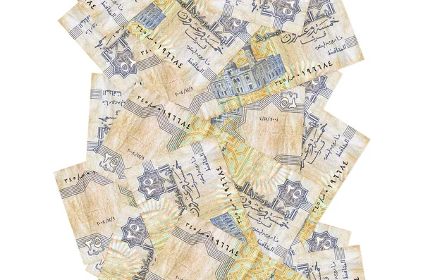 Egyptian Piastres Bills Flying Isolated White Many Banknotes Falling White — Stock Photo, Image