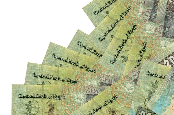 Egyptian Pounds Bills Lies Different Order Isolated White Local Banking — Stock Photo, Image