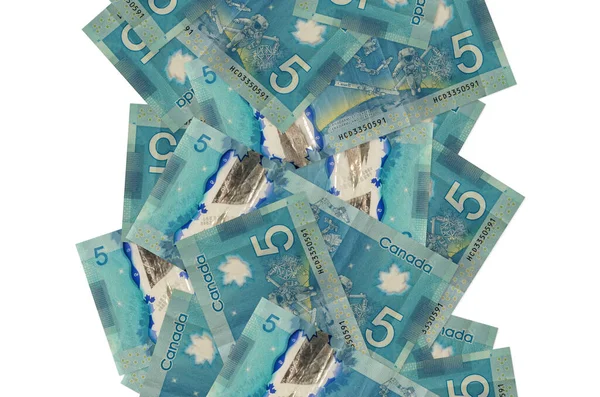 5 Kanada doları beyazın üzerinde izole bir şekilde uçuyor. Birçok banknot sol ve sağ tarafta beyaz kopya alanı ile düşüyor
