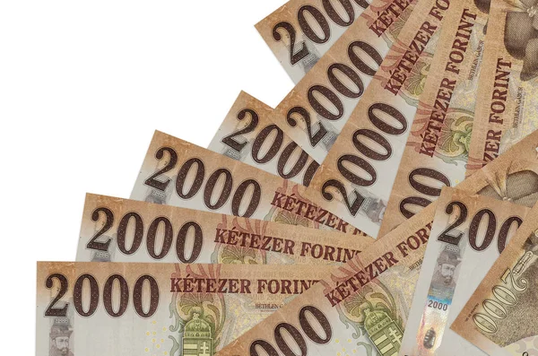 2000 Macar forint banknotları beyaza izole edilmiş farklı bir sırayla yatar. Yerel bankacılık ya da para kazanma konsepti. İş arkaplanı afişi