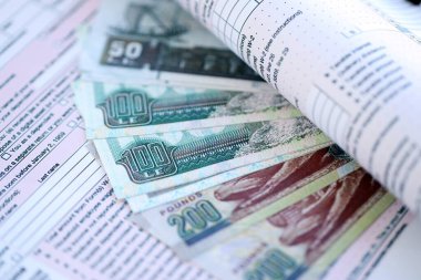 Vergi formunda Mısır 'a ait para faturaları. Vergi ve muhasebe kavramı