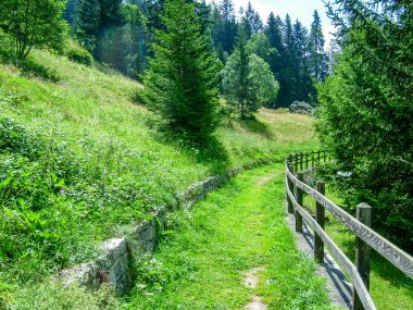 Trekking trail oin the Alps. Gressoney Valley is situated in the Aosta Valley, in northern Italy. It is marked by Lys river whose source is the glacier of Monte Rosa. clipart