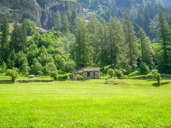 Vue Panoramique Dans Les Alpes Vallée Gressoney Est Située Dans — Photo