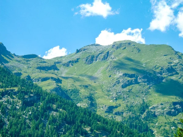 Forest Alps Gressoney Valley Situated Aosta Valley Northern Italy Marked — Stock Photo, Image