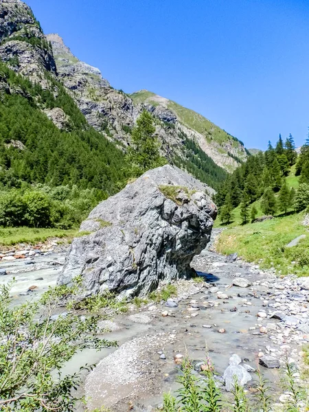 在阿尔卑斯山的森林 Gressoney 山谷位于意大利北部的奥斯塔山谷 它的标志是赖氨酸河 其来源是蒙罗莎冰川 — 图库照片