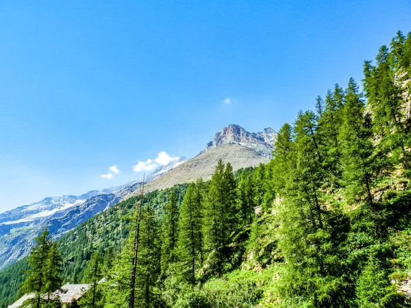 Krásný Výhled Alpské Údolí Gressoney Poblíž Monte Rosa Aosta Valley — Stock fotografie