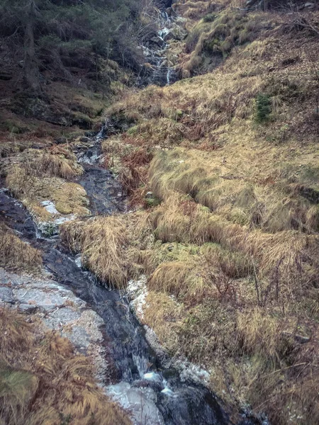 Bela Cachoeira Vale Alpino Gressoney Perto Monte Rosa Vale Aosta — Fotografia de Stock