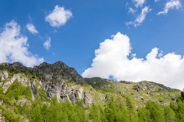 Krásný Les Alpském Údolí Gressoney Poblíž Monte Rosa Aosta Valley — Stock fotografie