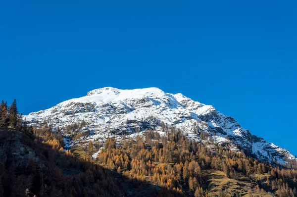 Panoramatický Pohled Alpské Údolí Gressoney Poblíž Monte Rosa Aosta Valley — Stock fotografie