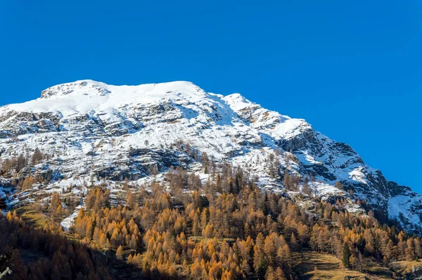 Panoramic view of the alpine valley of Gressoney near Monte Rosa, Aosta Valley, northern Italy. Gressoney Valley is situated in the Aosta Valley, in northern Italy. It is marked by Lys river whose source is the glacier of Monte Rosa.