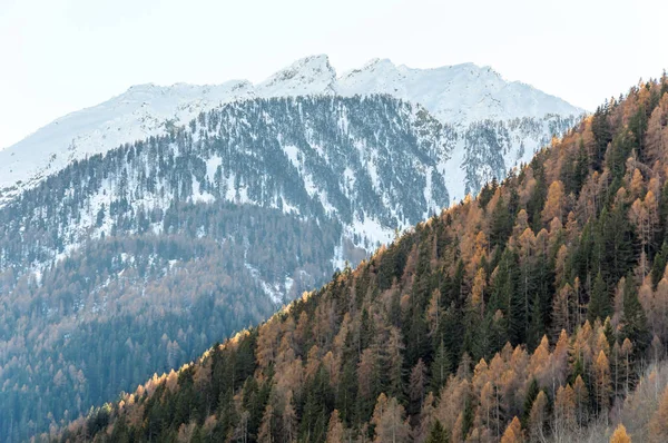 Vista Panorâmica Vale Alpino Gressoney Perto Monte Rosa Vale Aosta — Fotografia de Stock