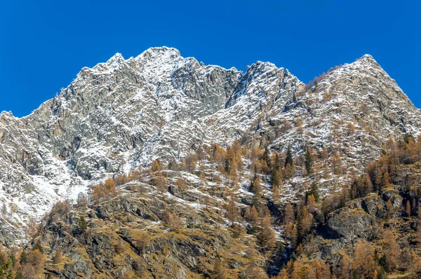 Panoramatický Pohled Alpské Údolí Gressoney Poblíž Monte Rosa Aosta Valley — Stock fotografie