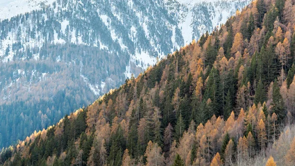 Panoramic View Alpine Valley Gressoney Monte Rosa Aosta Valley Northern — Stock Photo, Image