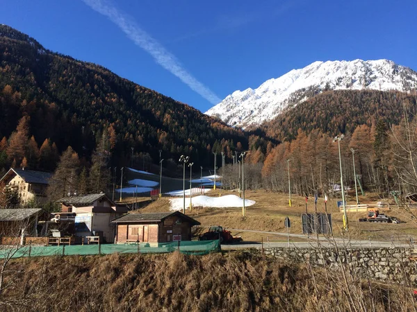 Krásný Les Alpském Údolí Gressoney Poblíž Monte Rosa Aosta Valley — Stock fotografie