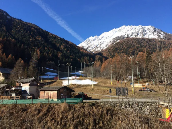 Krásný Les Alpském Údolí Gressoney Poblíž Monte Rosa Aosta Valley — Stock fotografie