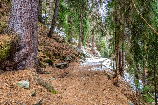 Pěší Cesta Alpském Údolí Gressoney Poblíž Monte Rosa Aosta Valley — Stock fotografie